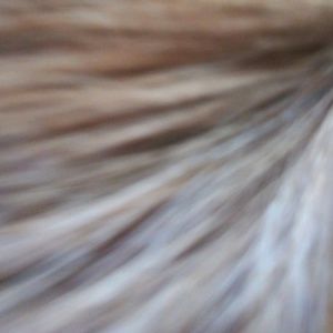 Meet your Posher, Oliver